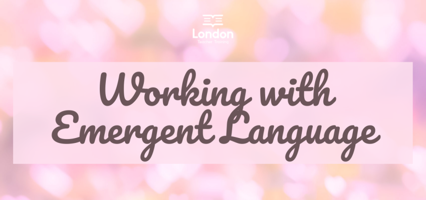 Working with Emergent Language